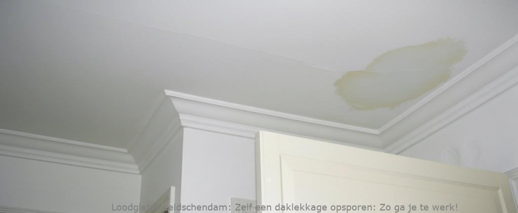 Daklekkage Opsporen Leidschendam