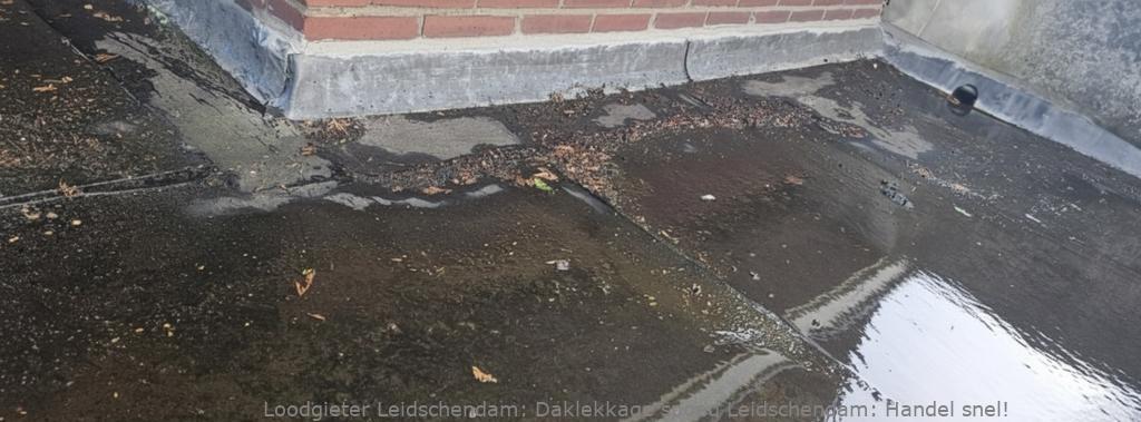 Daklekkage Spoed Leidschendam