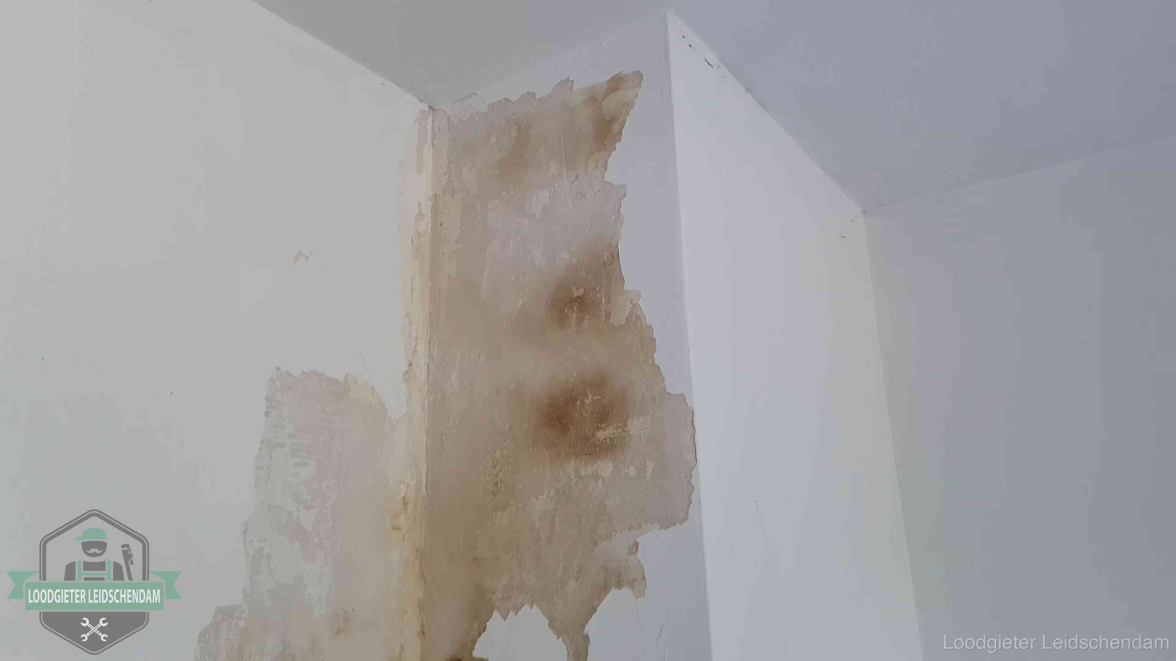 Daklekkage herkennen in Leidschendam Bruine vochtkringen en afbladderend stucwerk op een binnenmuur in Leidschendam, een eerste teken van daklekkage