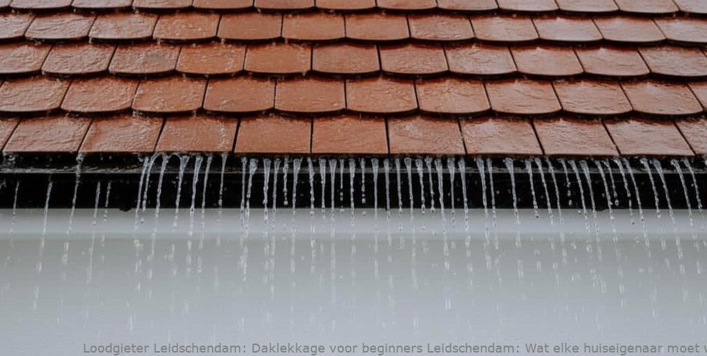 Daklekkage Voor Beginners Leidschendam