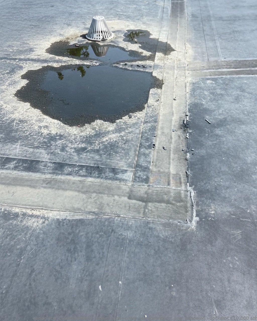 Daklekkage Winter Leidschendam