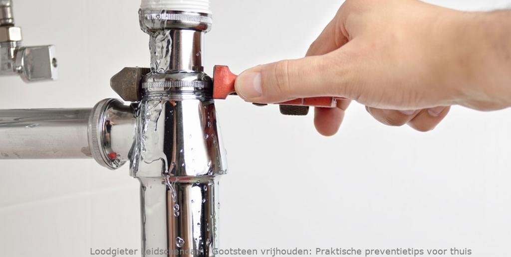 Gootsteen Preventietips Verstopping Leidschendam