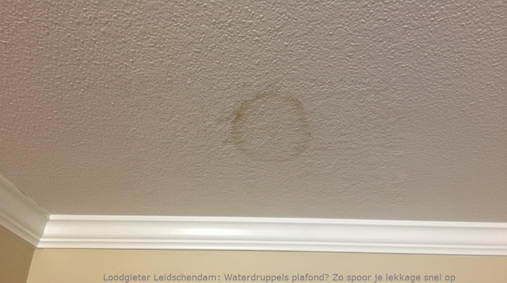 Lekkage Plafond Leidschendam