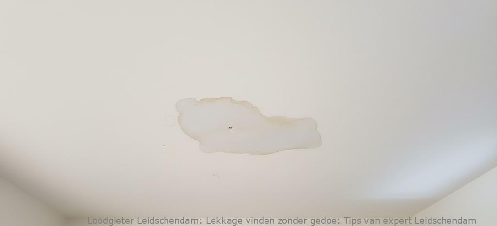 Lekkage Vinden Leidschendam