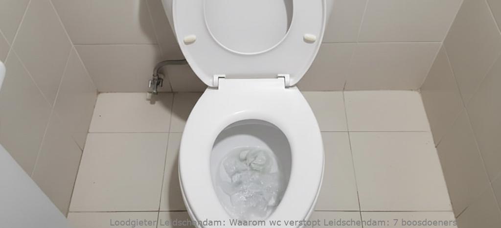 Waarom Wc Verstopt Leidschendam