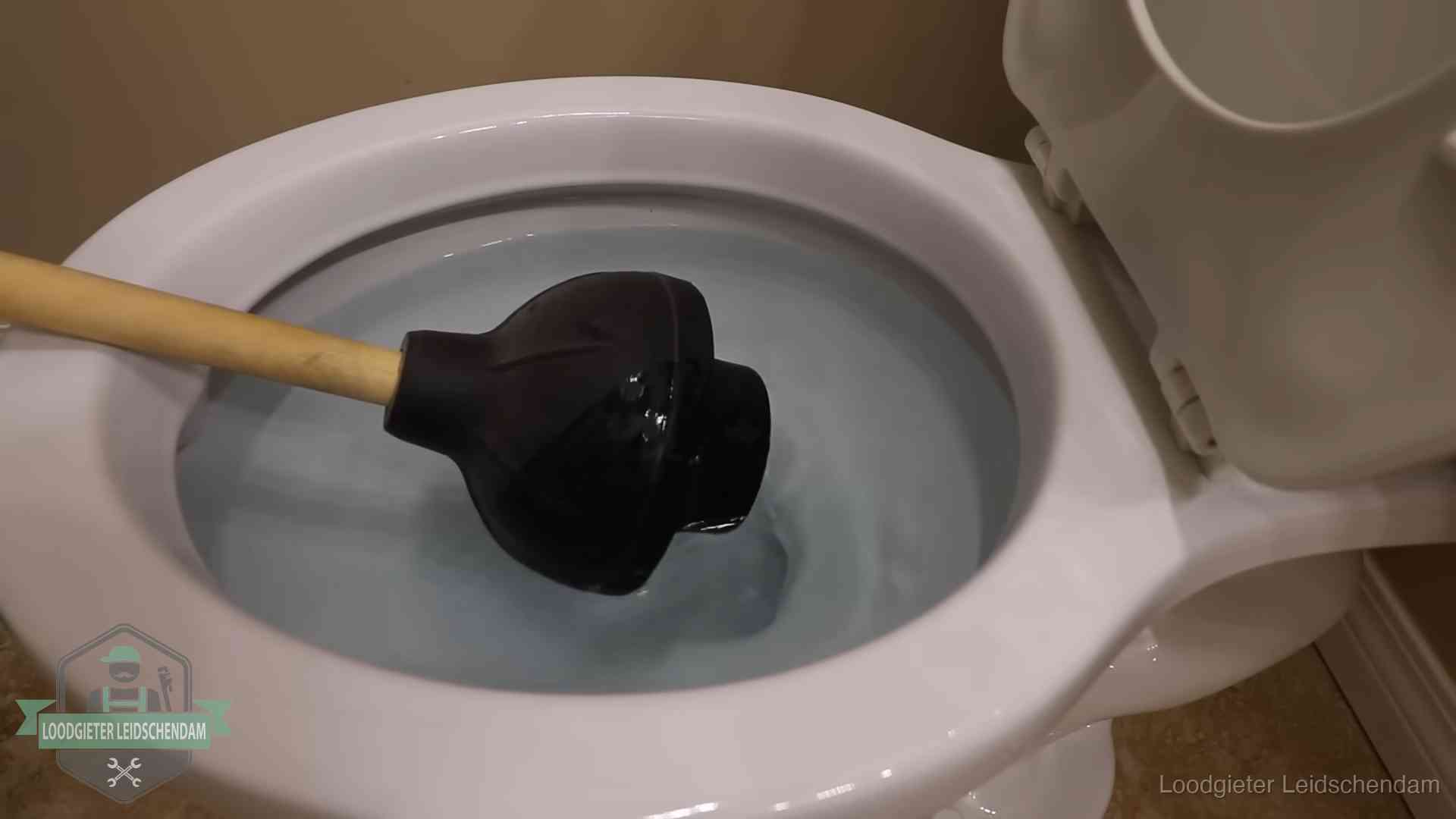 Wc vol water in Leidschendam Plopper in een wc-pot die vol water staat in Leidschendam
